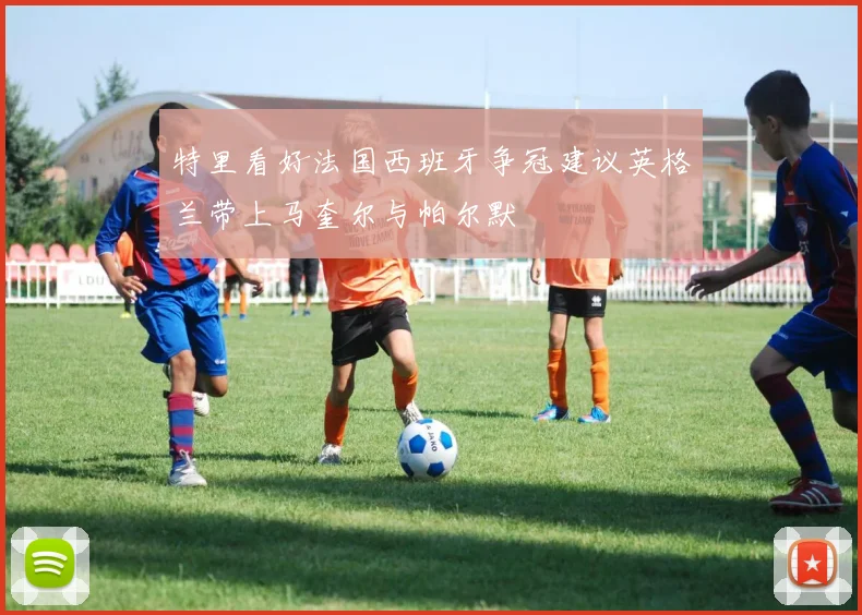 特里看好法国西班牙争冠建议英格兰带上马奎尔与帕尔默