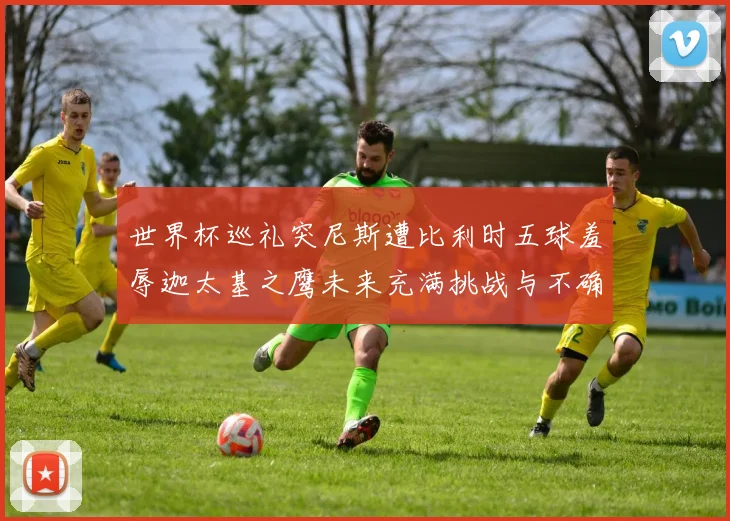 世界杯巡礼突尼斯遭比利时五球羞辱迦太基之鹰未来充满挑战与不确定性